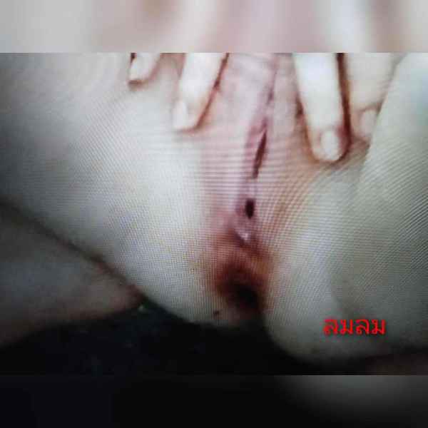 ไม่ได้ลงมานานไม่รู้จะผ่านหรือเปล่า